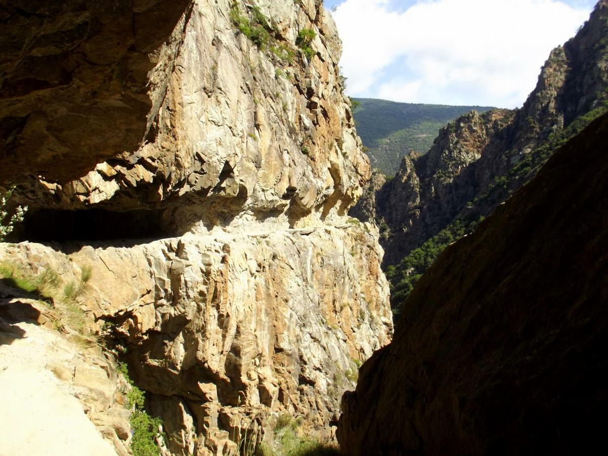 Вілла Chalet Mont Canigo Corneilla-de-Conflent Екстер'єр фото